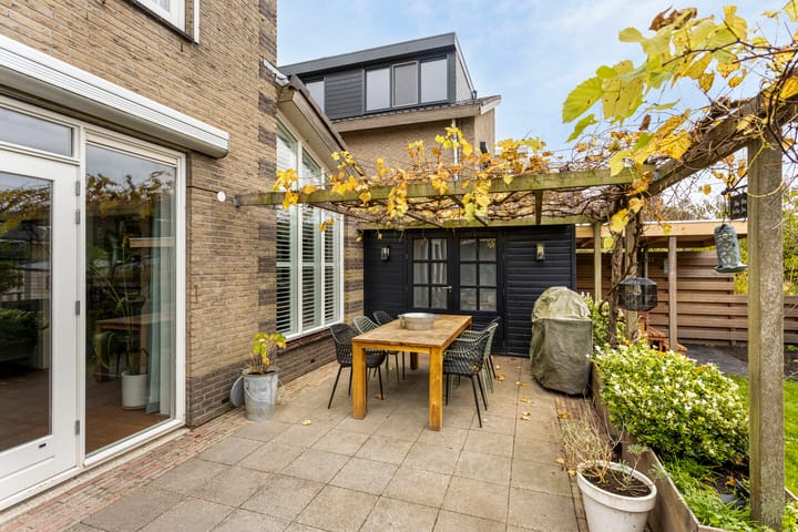 Photo 19 of Keizerfazant 20