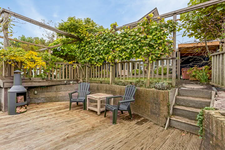 Photo 23 of Keizerfazant 20