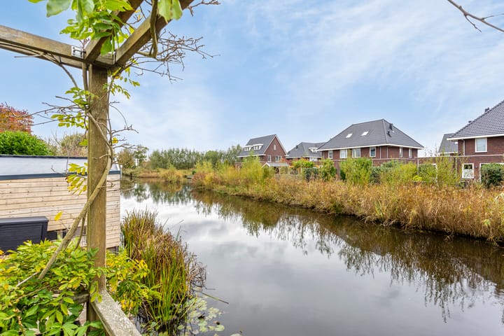 Photo 25 of Keizerfazant 20