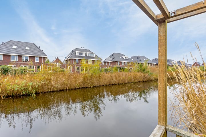 Photo 26 of Keizerfazant 20