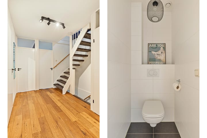 Photo 30 of Keizerfazant 20