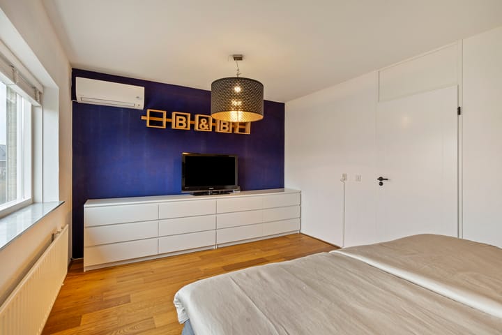 Photo 32 of Keizerfazant 20