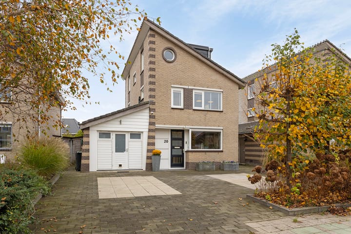 Photo 41 of Keizerfazant 20