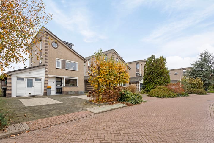 Photo 42 of Keizerfazant 20