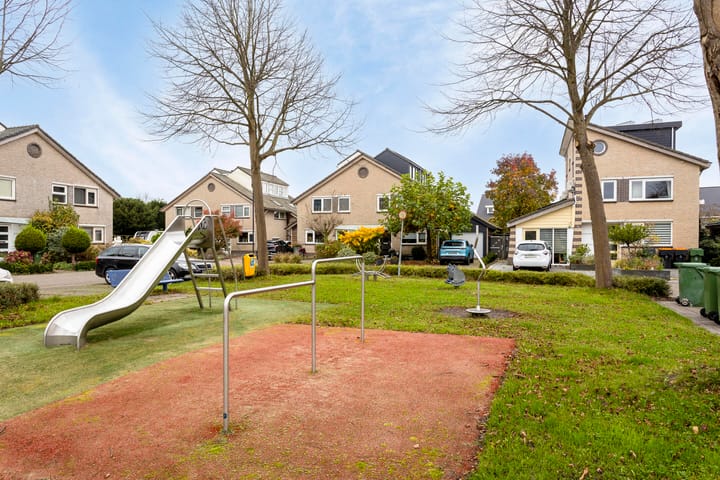 Photo 43 of Keizerfazant 20