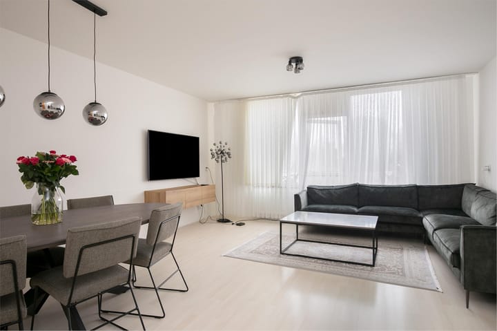 Foto 7 van Laan van de Mensenrechten 120