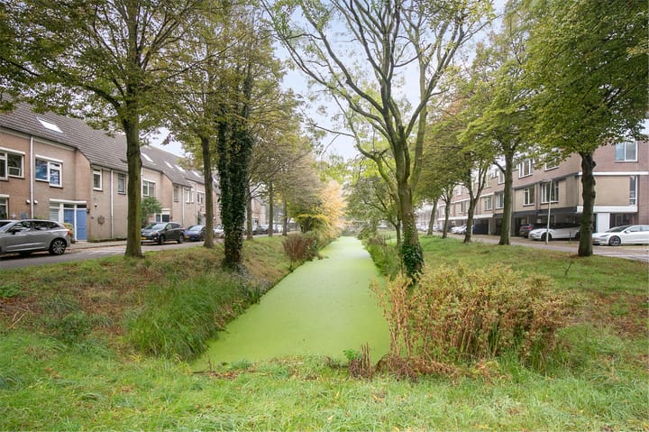 Foto 35 van Laan van de Mensenrechten 120