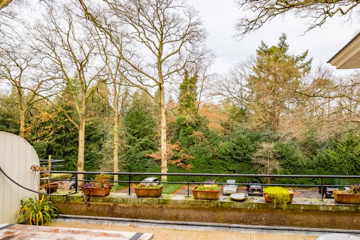 Foto 36 van Park Rodichem 112