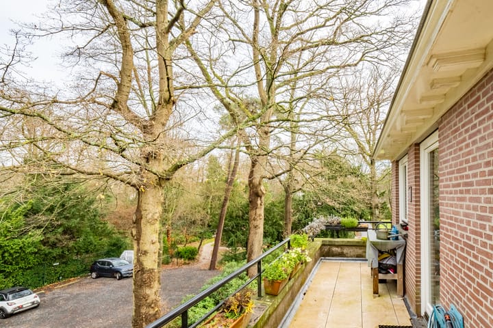 Foto 37 van Park Rodichem 112