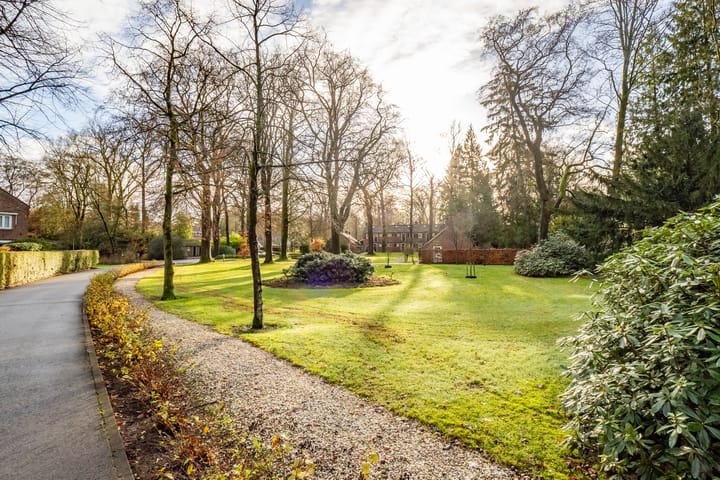 Foto 50 van Park Rodichem 112