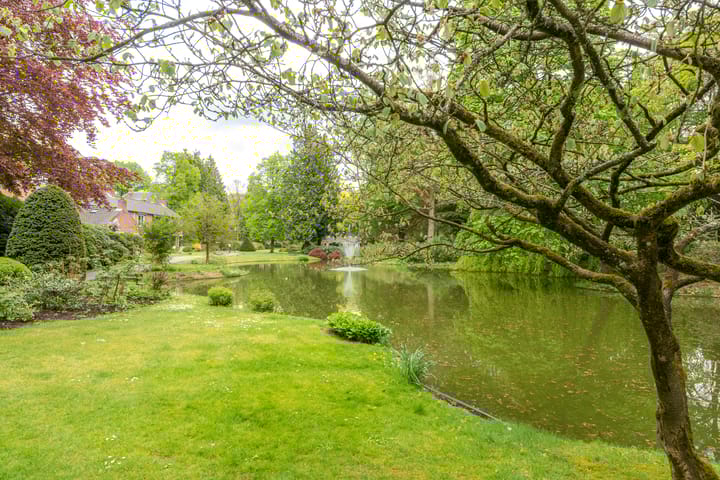 Foto 54 van Park Rodichem 112