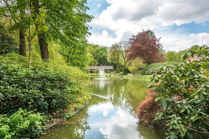 Foto 55 van Park Rodichem 112