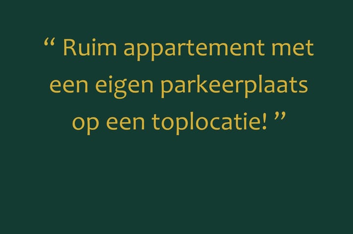 Foto 6 van Koningshof 52