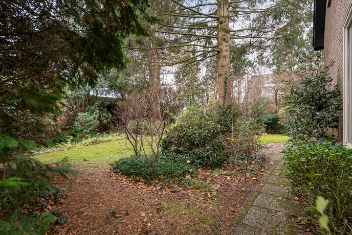 Foto 41 van Linthorst Homanstraat 3