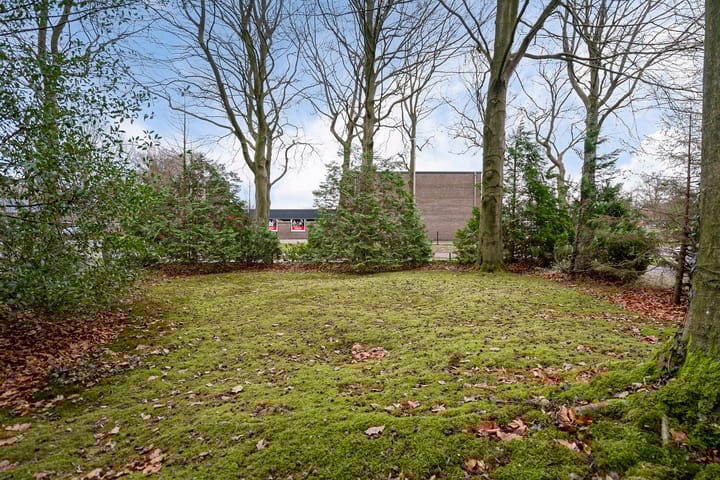 Foto 44 van Linthorst Homanstraat 3