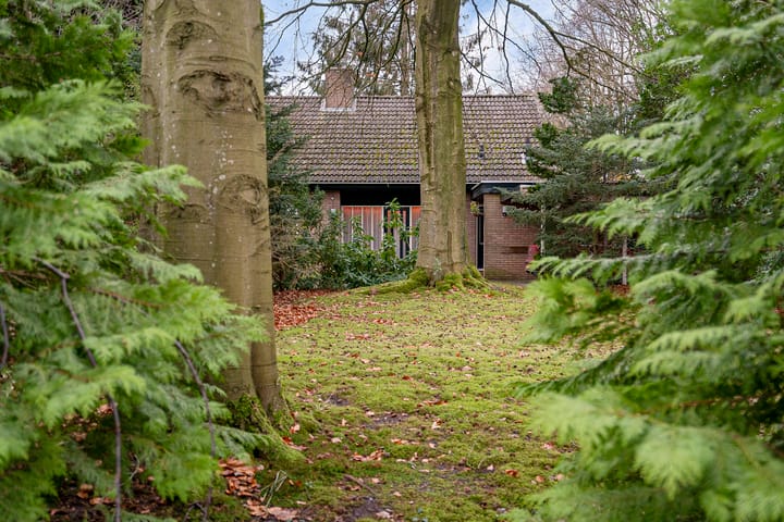 Foto 47 van Linthorst Homanstraat 3