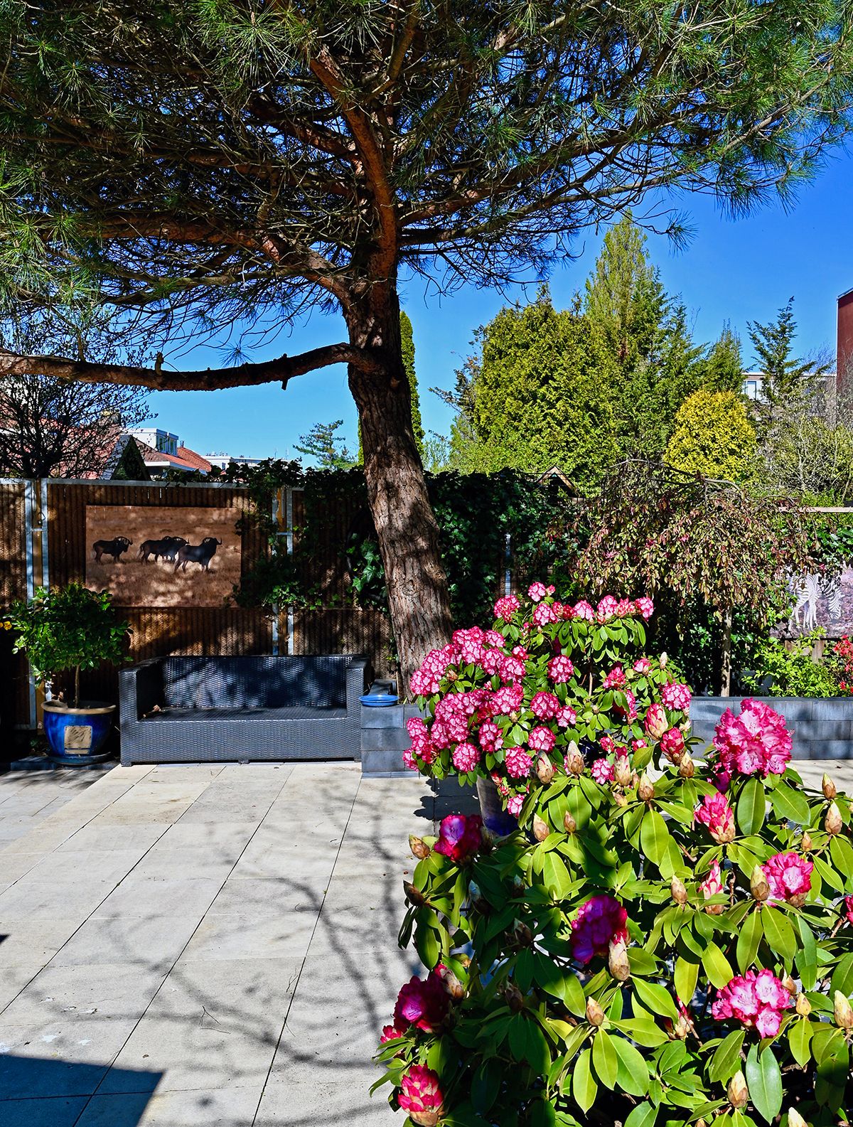 Foto 49 van Pascalweg 78