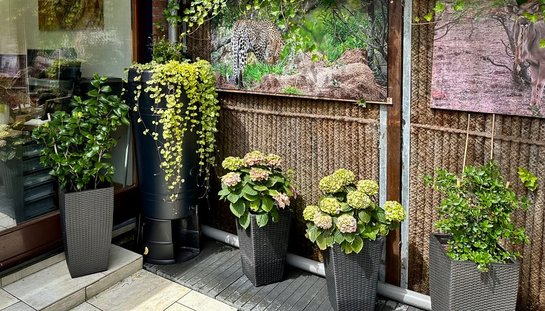 Foto 53 van Pascalweg 78