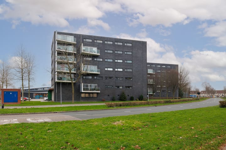 Foto 8 van Salsastraat 163