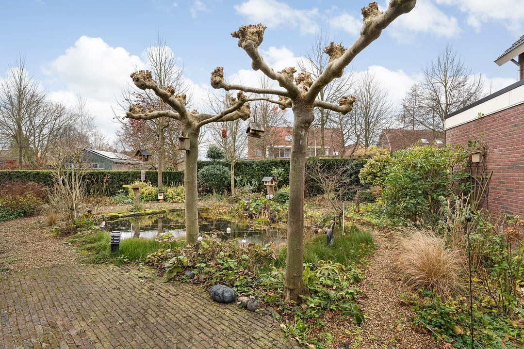 Foto 47 van Kerkuil 6