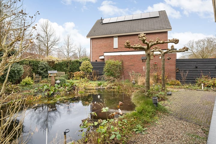 Foto 48 van Kerkuil 6