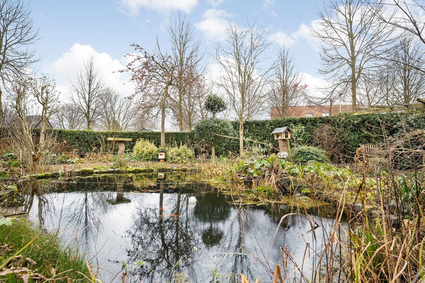 Foto 49 van Kerkuil 6