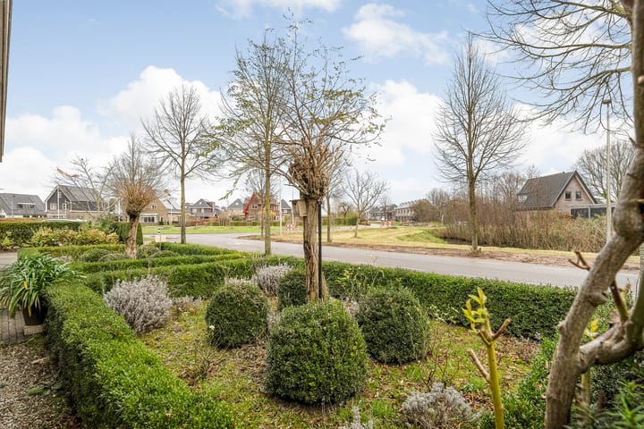 Foto 50 van Kerkuil 6