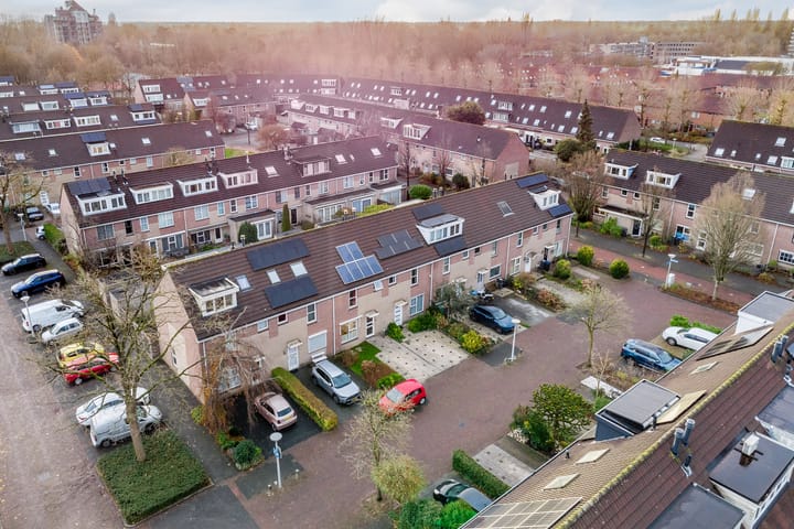 Foto 2 van Boogschutter 142