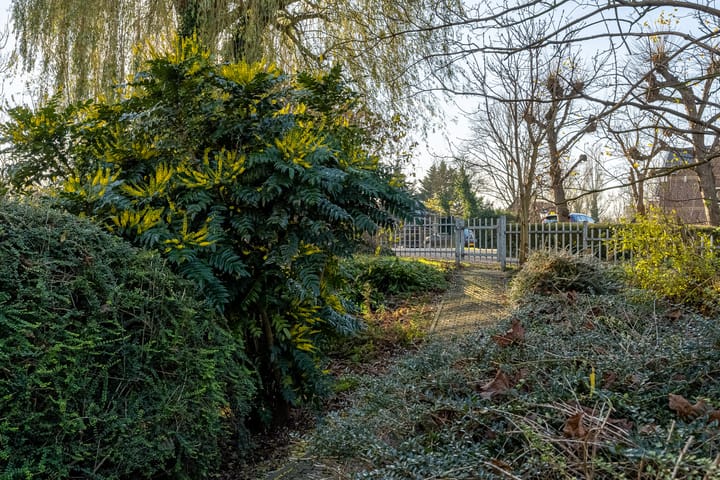 Foto 36 van Joppelaan 5