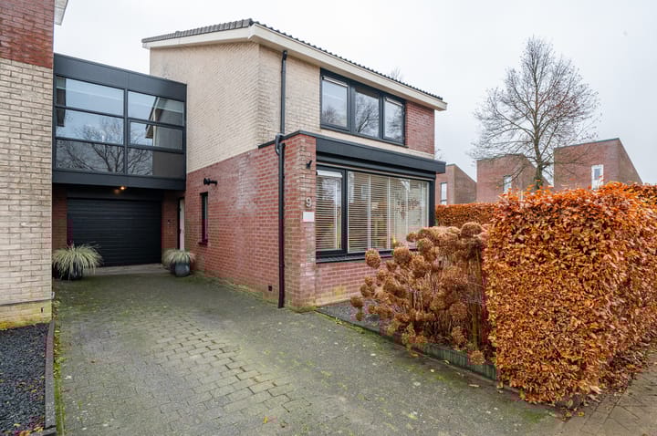 Foto 2 van Duizendblad 9