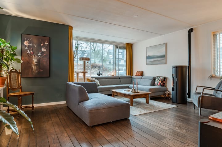 Foto 3 van Duizendblad 9