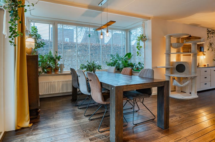 Foto 9 van Duizendblad 9