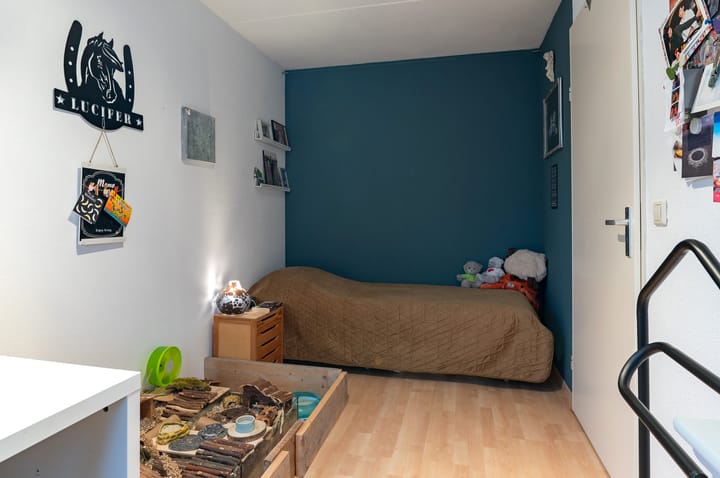 Foto 26 van Duizendblad 9