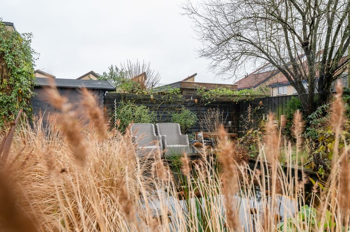 Foto 39 van Duizendblad 9