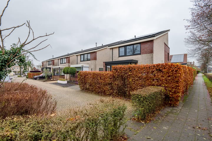 Foto 44 van Duizendblad 9