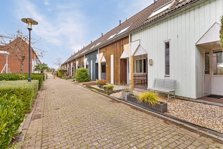 Foto 6 van Kanariesprenk 121