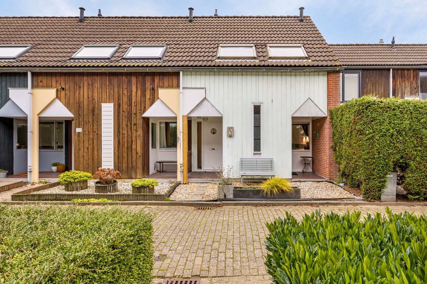 Foto 1 van Kanariesprenk 121