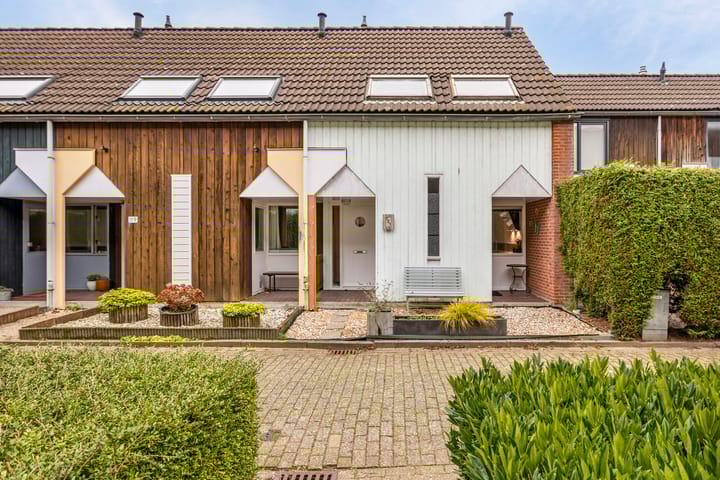 Foto 1 van Kanariesprenk 121