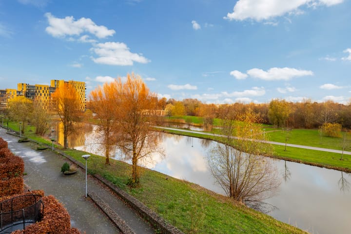 Foto 2 van Johan de Wittstraat 256