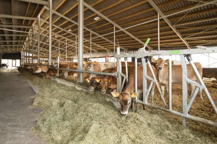 Foto 16 van Hemrikkwartier 84-A2