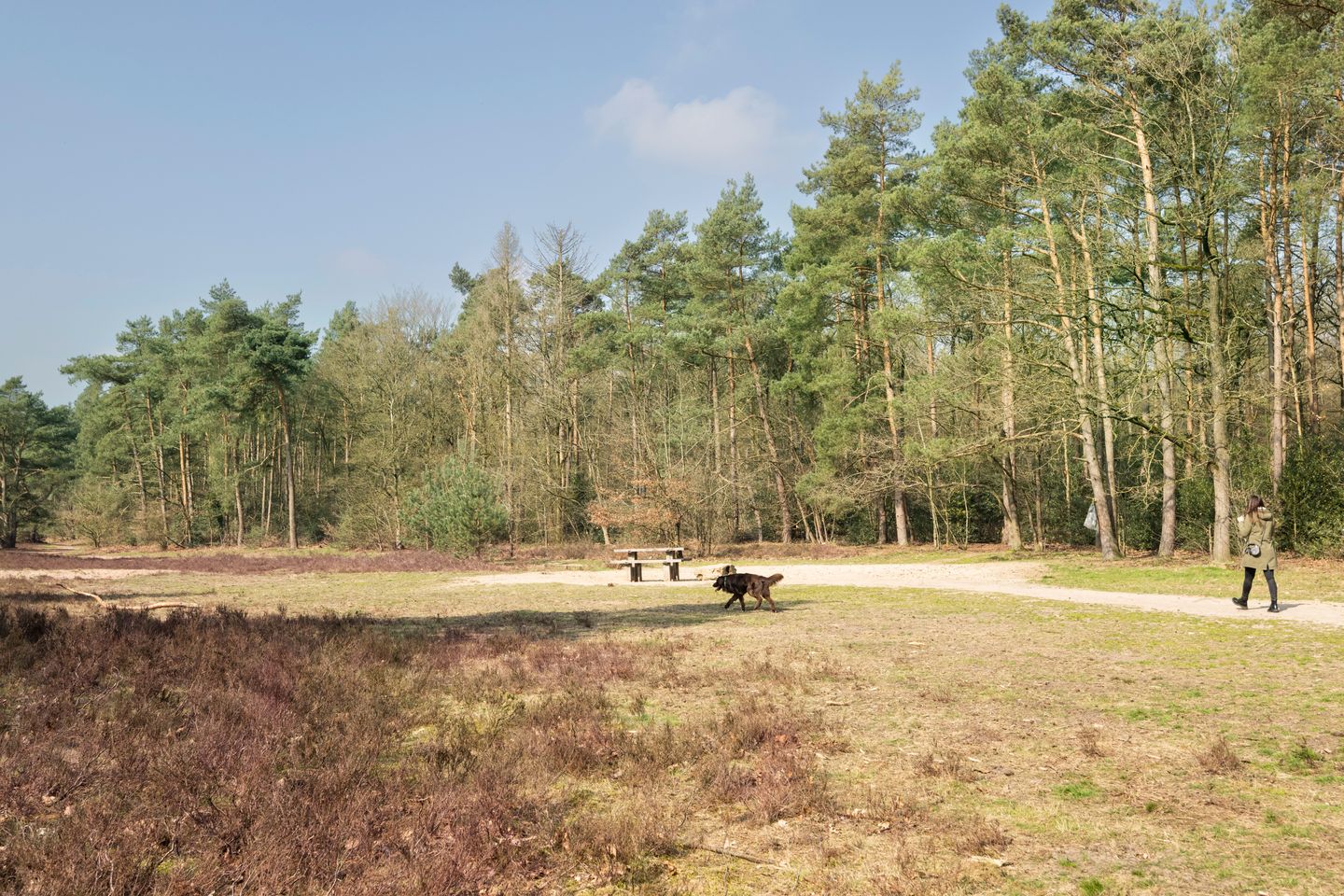 Foto 19 van Hemrikkwartier 84-A2