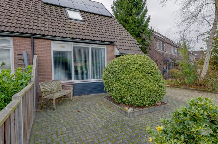 Foto 3 van Boekweitveld 24