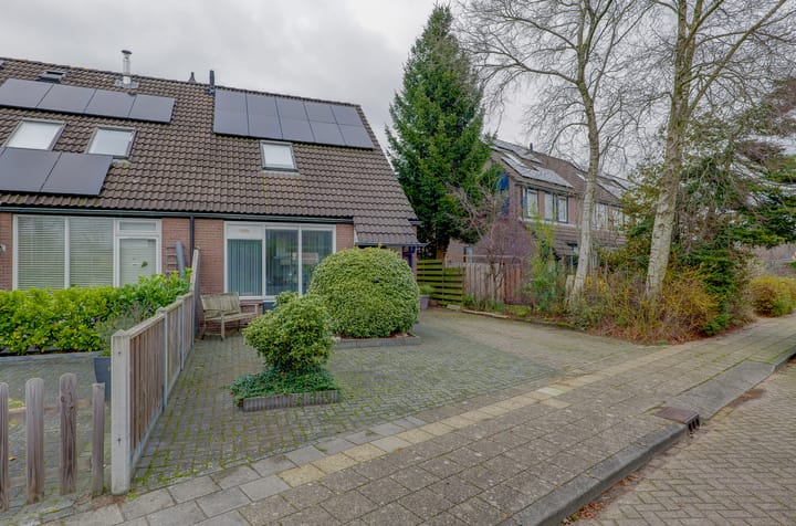 Foto 41 van Boekweitveld 24