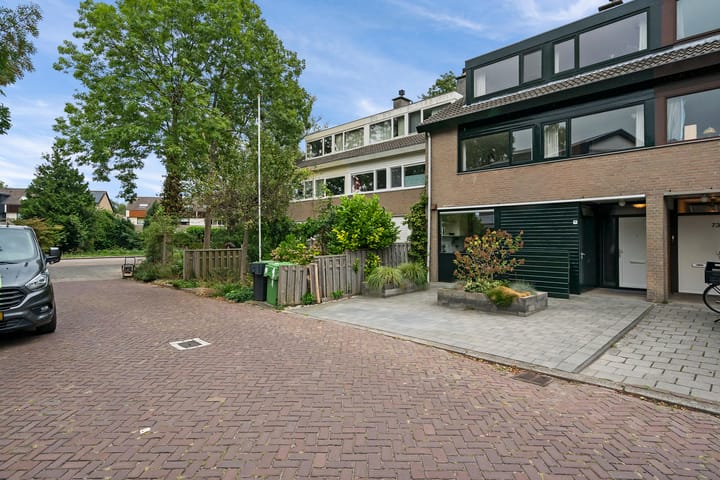 Foto 7 van Heivlinder 75