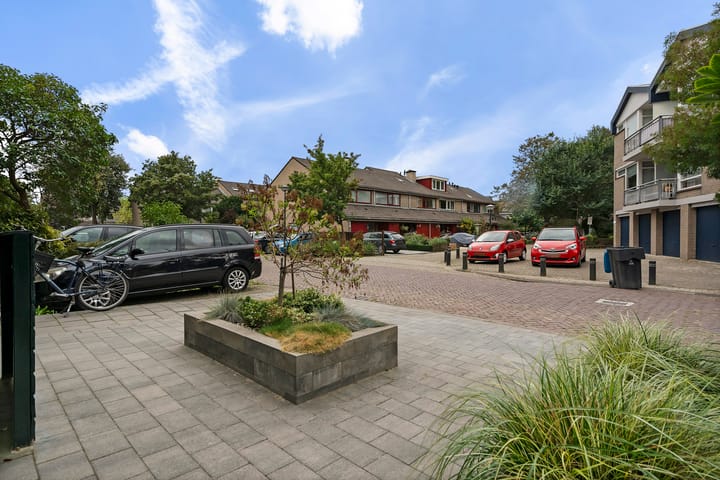 Foto 9 van Heivlinder 75