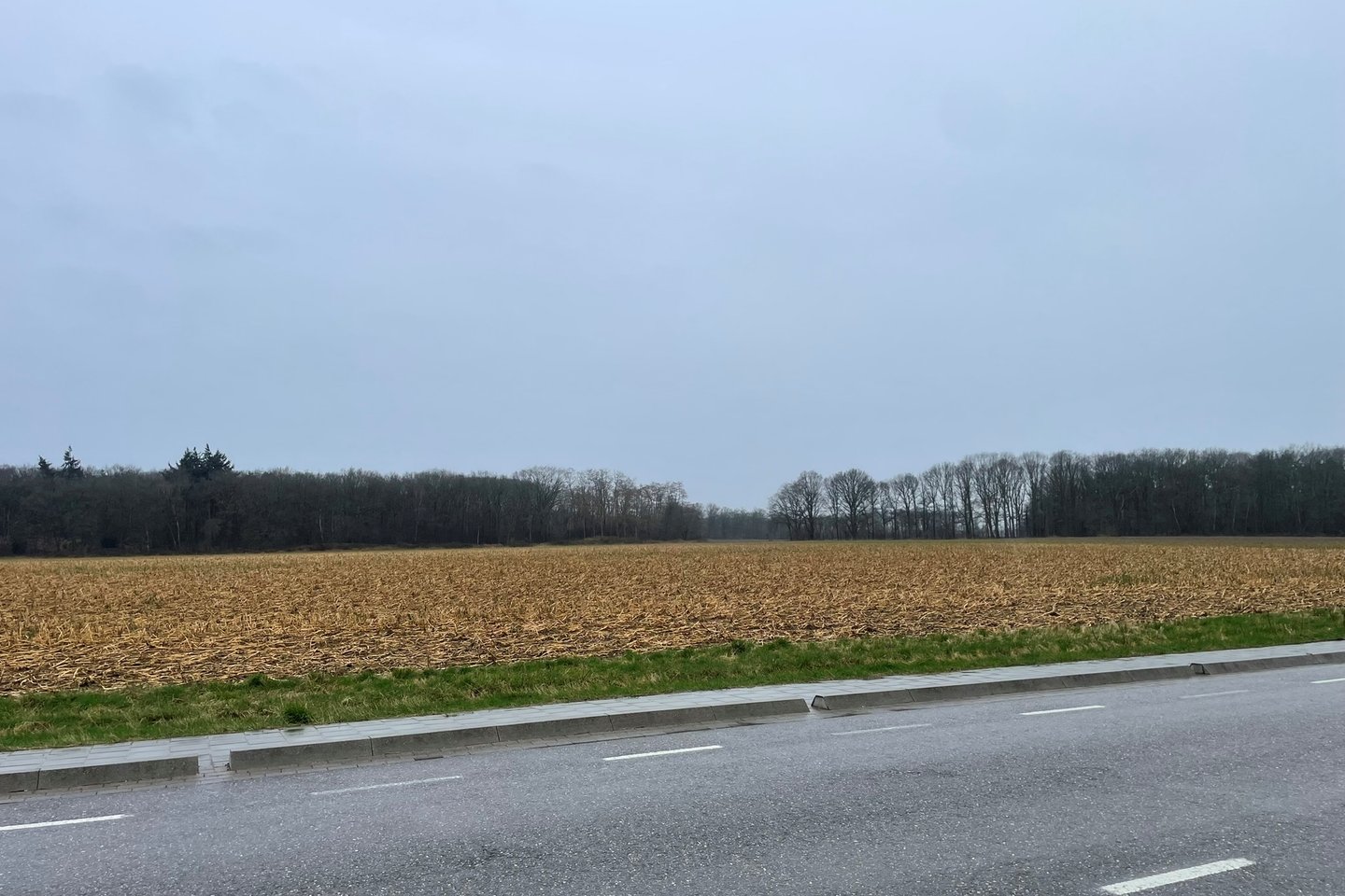 Bekijk foto 5 van Lottumseweg