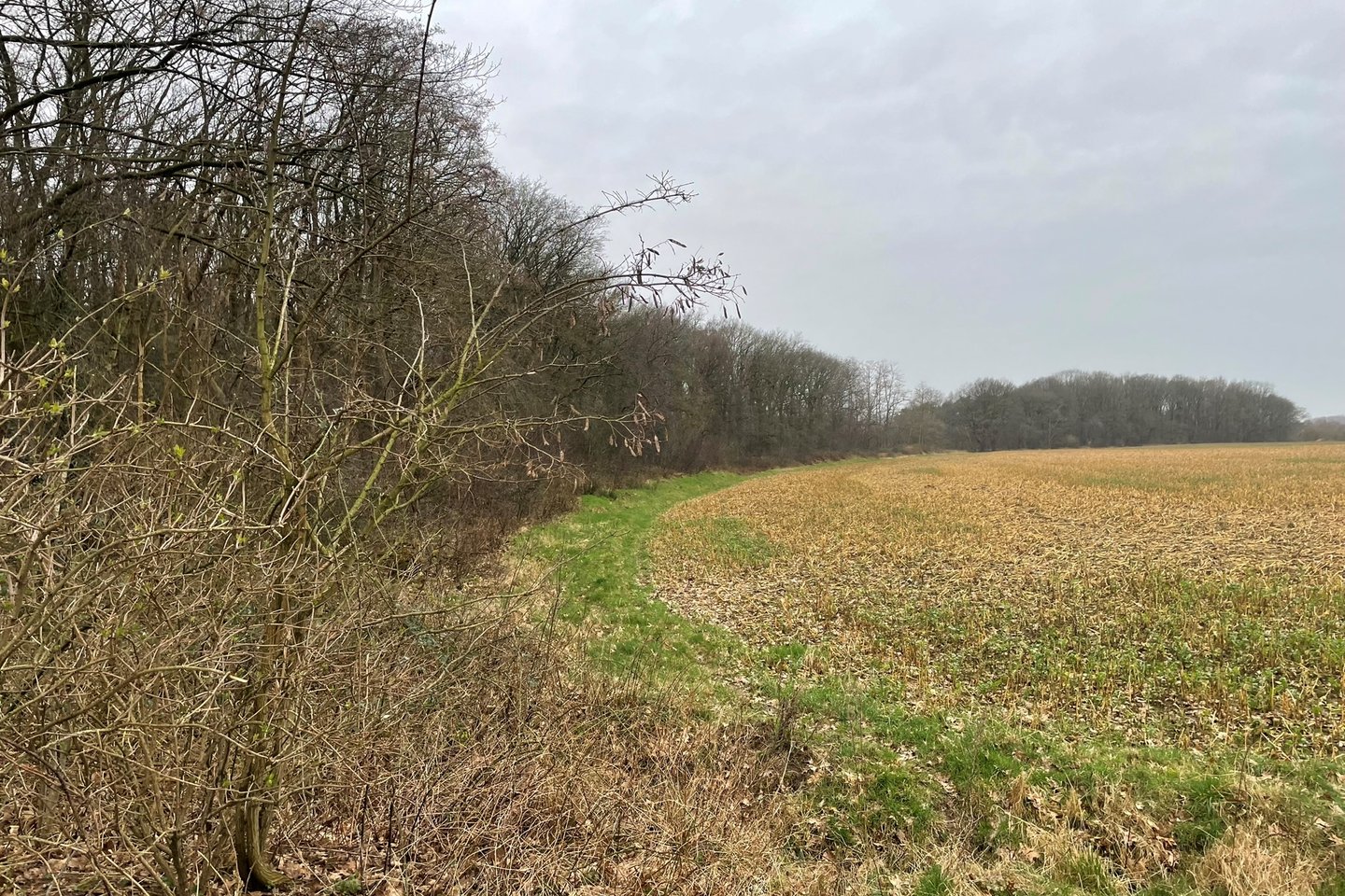 Bekijk foto 3 van Lottumseweg