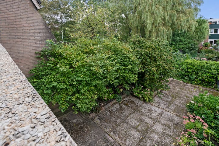 Foto 39 van Heivlinder 75