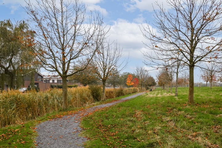 Bekijk foto 19 van Rottumeroog 24