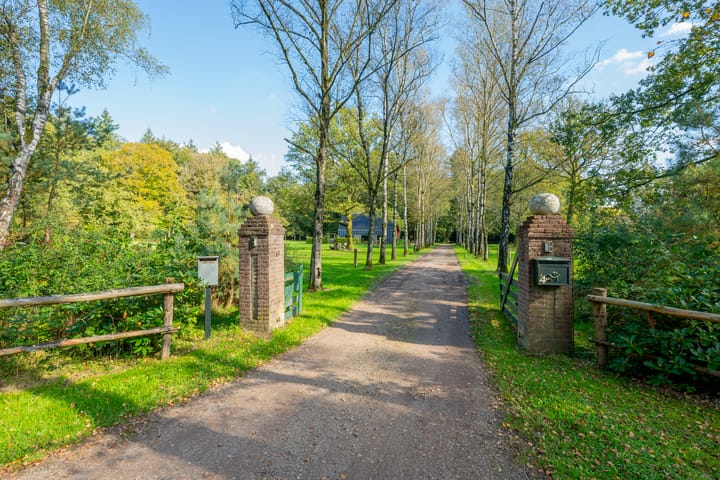 Foto 2 van Buurtsteeg 4-B